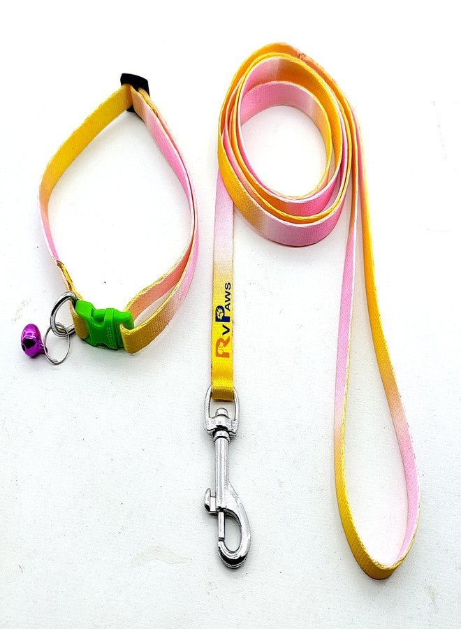 Pups&Pets طقم طوق ومقود للكلاب من Pups&Pets بألوان قوس قزح، طوق نايلون قابل للتعديل مع مقود للكلاب الصغيرة، طقم طوق سريع الفتح وجيد التهوية للجراء والكلاب والقطط 10 مم (عبوة من قطعة واحدة) - Image 1